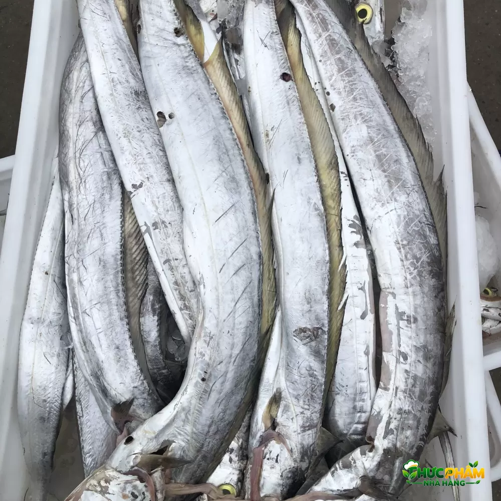 Cá Hố Đông Lạnh 3. Lý Do Nên Mua Sỉ Cá Hố Đông Lạnh Tại VIFOOD — Cá Hố Đông Lạnh