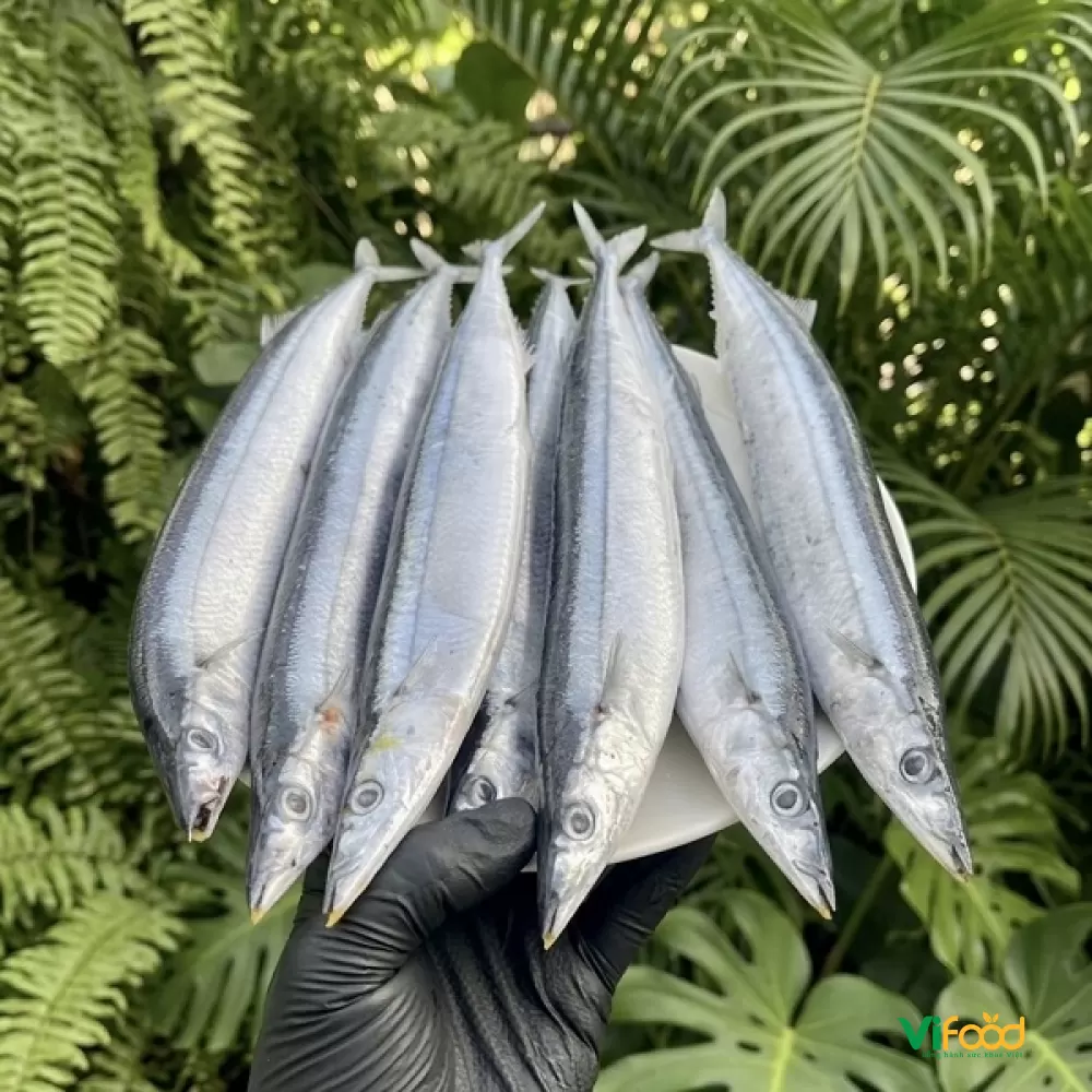 Cá Thu Đao Đông Lạnh - ảnh 2