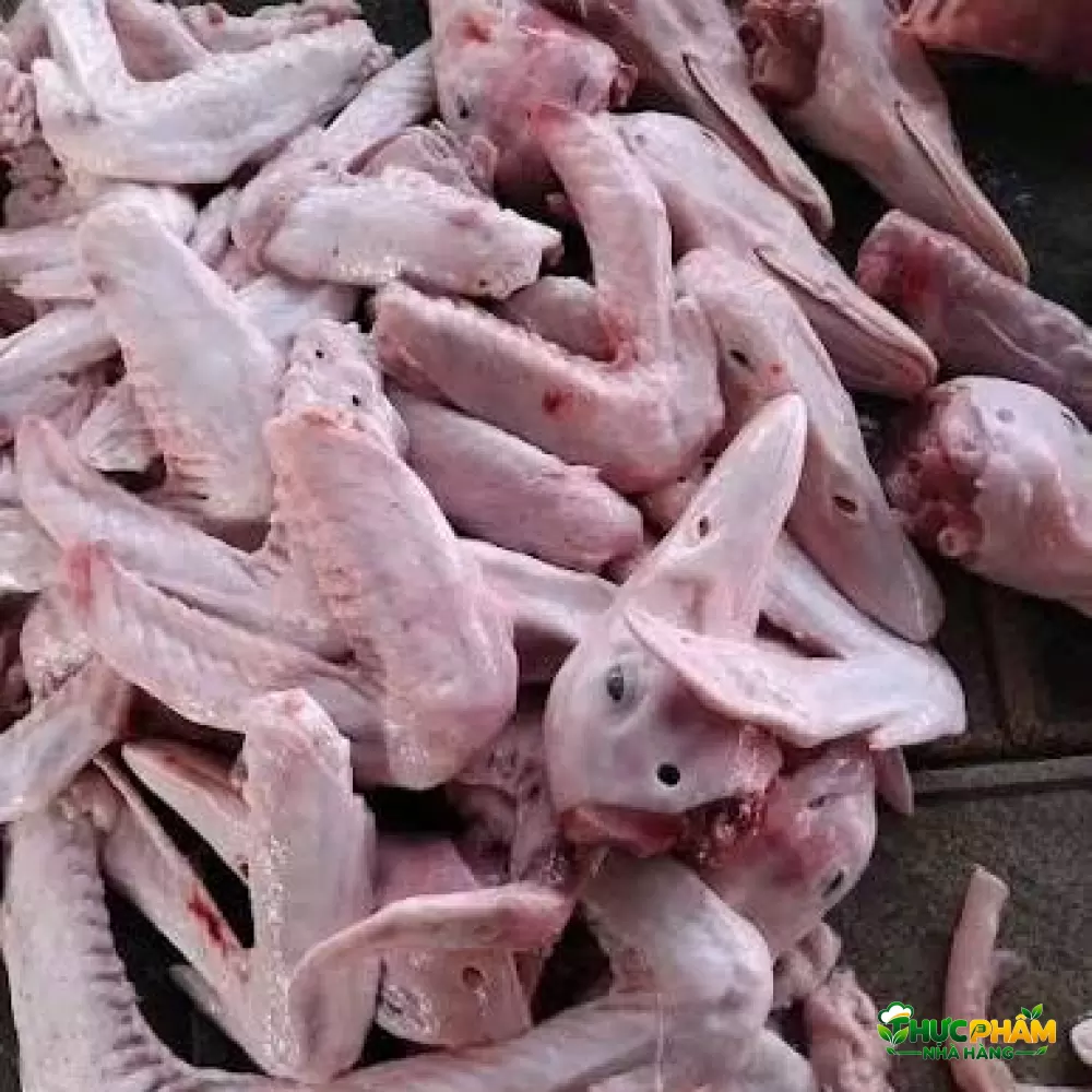 Cánh Vịt Tươi 3. LÝ DO NÊN NHẬP SỈ CÁNH VỊT TẠI VIFOOD — Cánh Vịt Tươi