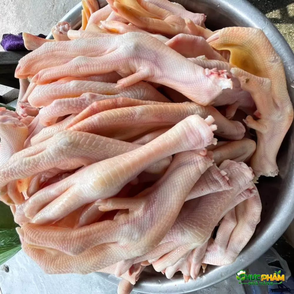 Hình ảnh sản phẩm Chân Vịt Tươi Bảng giá chân vịt tươi giá sỉ — Chân Vịt Tươi