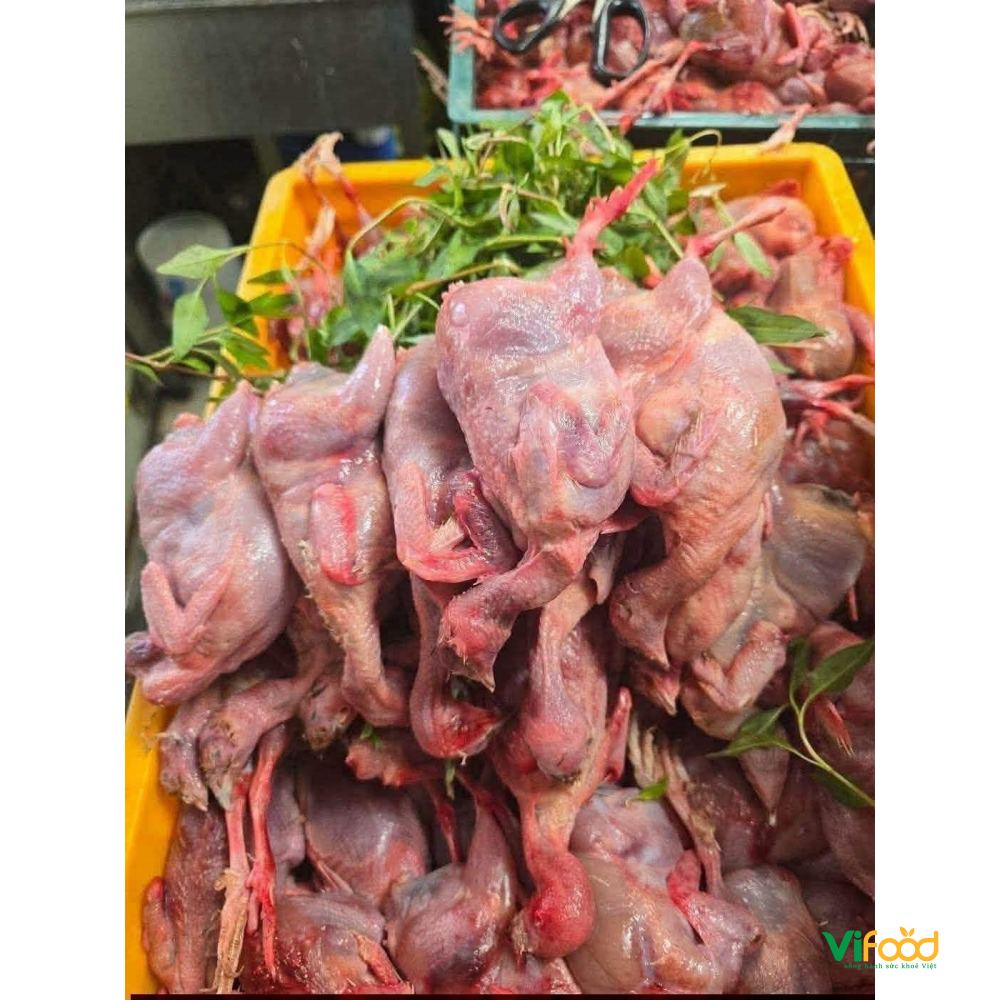 Hình ảnh sản phẩm Chim Cút Thịt Chim Cút Thịt Giá Sỉ: Đặc Điểm, Món Ngon Và Báo Giá Chi Tiết — Chim Cút Thịt