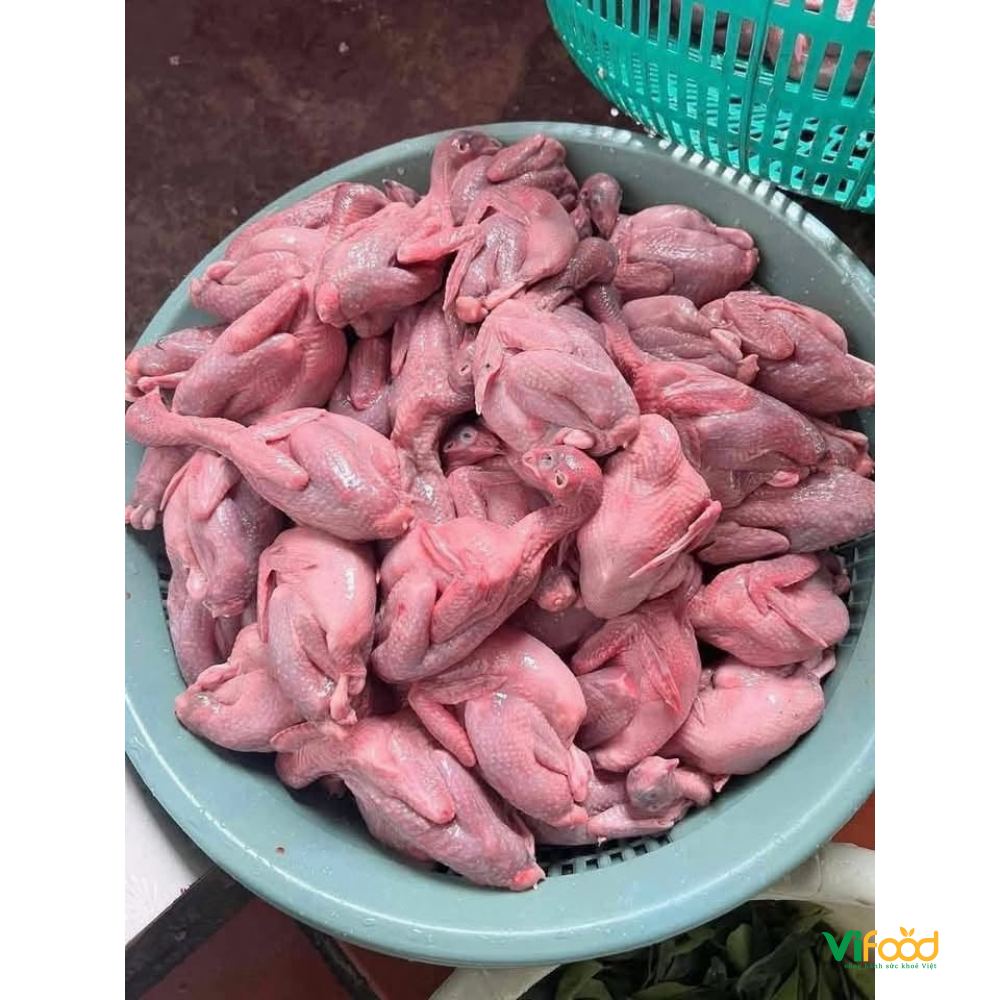 Hình ảnh sản phẩm Chim Cút Thịt Chim Cút Thịt — minh họa cho bài Chim Cút Thịt
