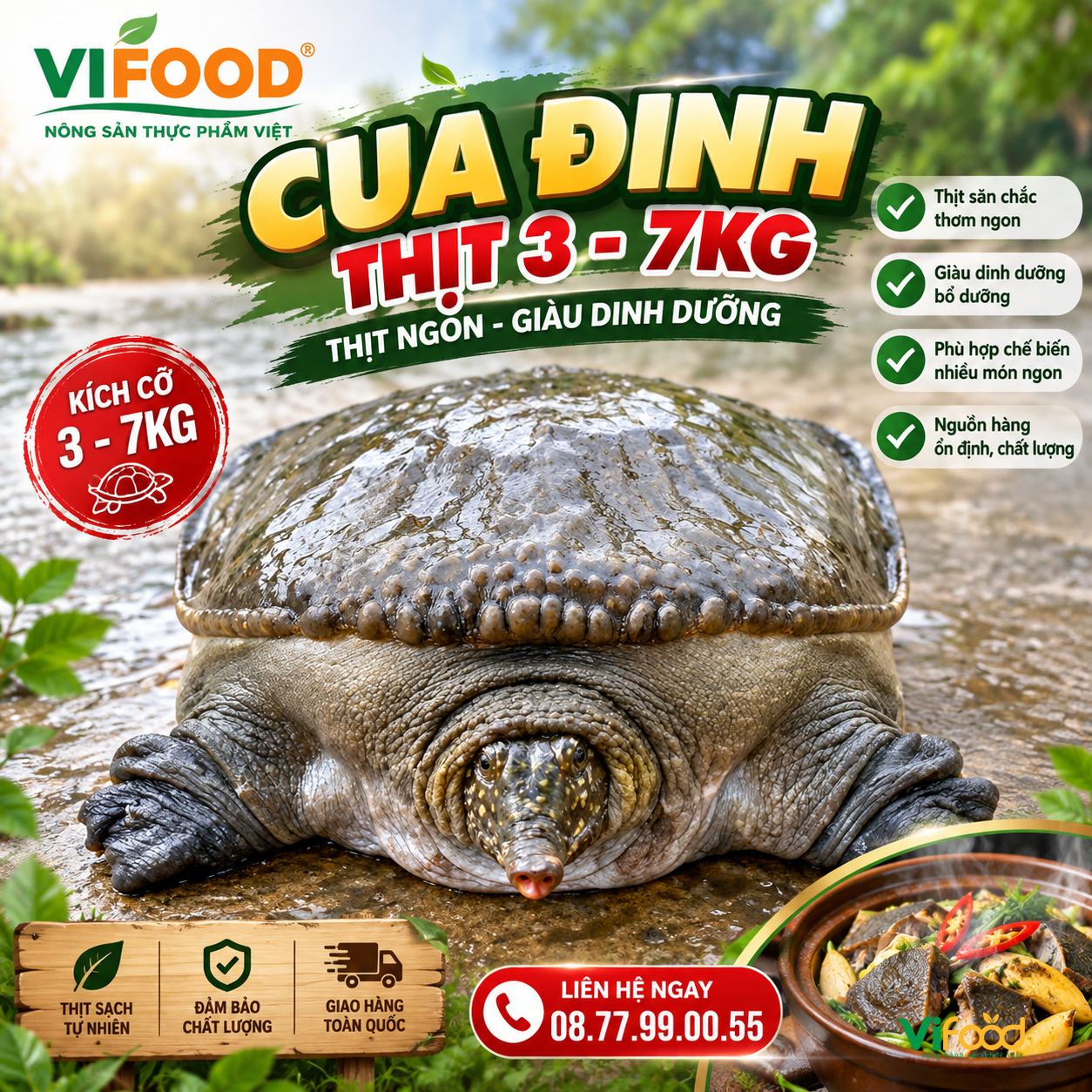 Cua Đinh Thịt 3 - 7kg