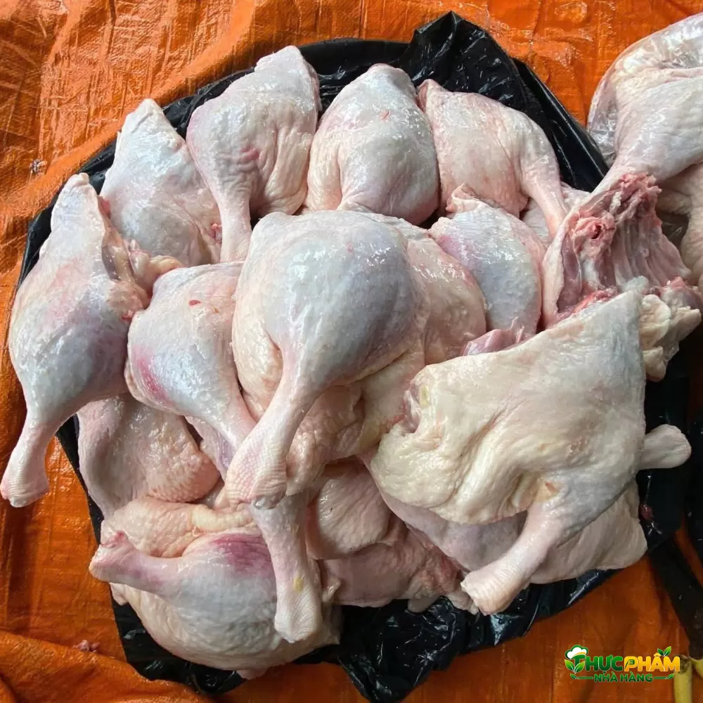 Đùi Vịt Góc Tư 1. BẢNG BÁO GIÁ SỈ ĐÙI VỊT GÓC TƯ (CẬP NHẬT) — Đùi Vịt Góc Tư