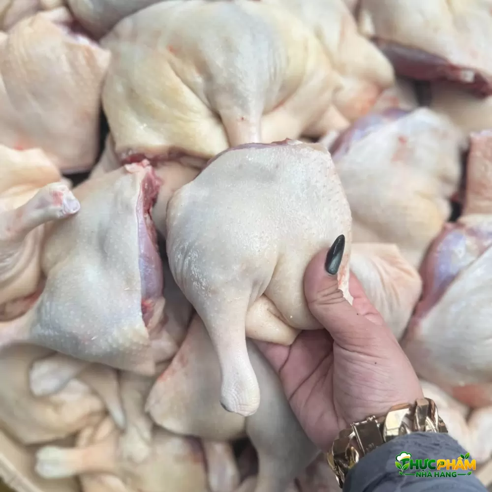 Đùi Vịt Góc Tư 2. ƯU ĐIỂM KHI NHẬP ĐÙI VỊT GÓC TƯ TẠI VIFOOD — Đùi Vịt Góc Tư