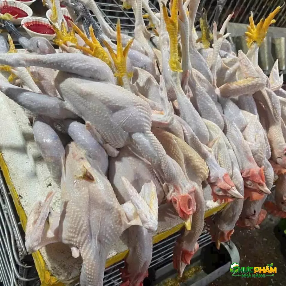 Gà Tre Thịt 1. BẢNG BÁO GIÁ SỈ GÀ TRE THỊT (CẬP NHẬT) — Gà Tre Thịt