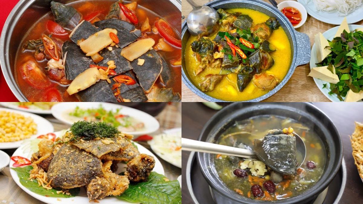 Giá ba ba thịt hôm nay bao nhiêu? Cập nhật giá baba mới nhất