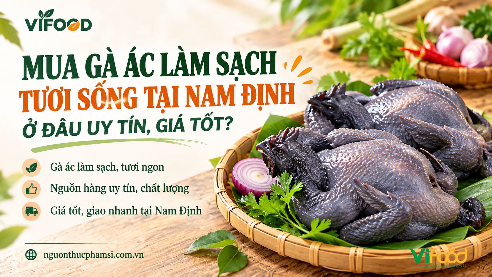 Mua Gà Ác Làm Sạch Tươi Sống Tại Nam Định Ở Đâu Uy Tín, Giá Tốt?