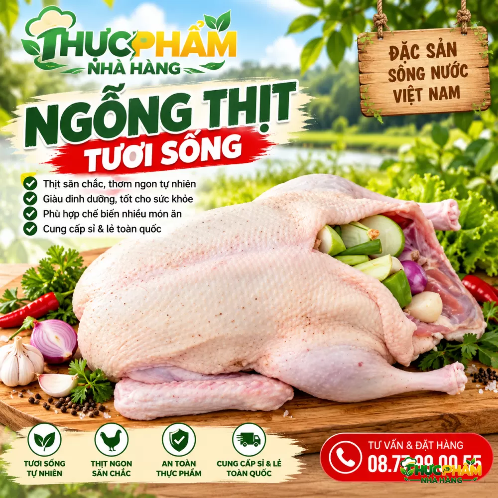 Ngỗng Thịt Ngỗng Thịt
