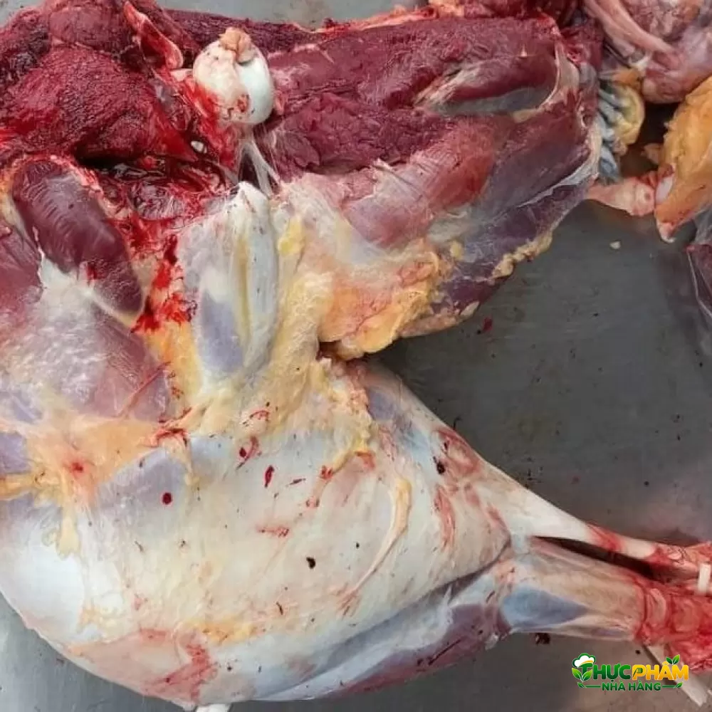 Thịt Đà Điểu File 3. BÍ QUYẾT CHẾ BIẾN THỊT ĐÀ ĐIỂU FILLET MỀM NGỌT, KHÔNG BỊ KHÔ — Thịt Đà Điểu File