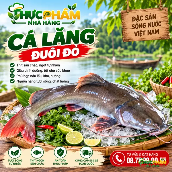 Cá Lăng Đuôi Đỏ