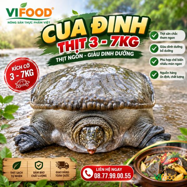 Cua Đinh Thịt 3 - 7kg