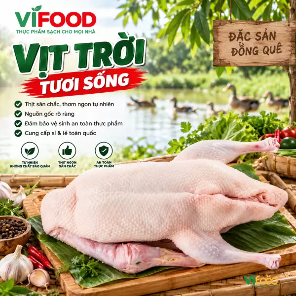 Vịt Trời Tươi Sống